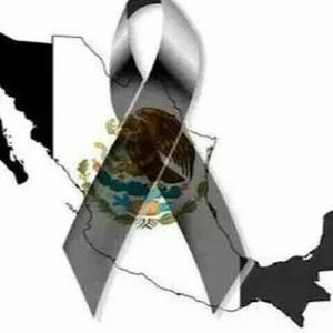 Meet your Posher, Lorena